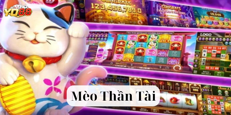 Mèo Thần Tài là gì?